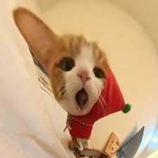 ธีรศิลป์ แดงดา avatar